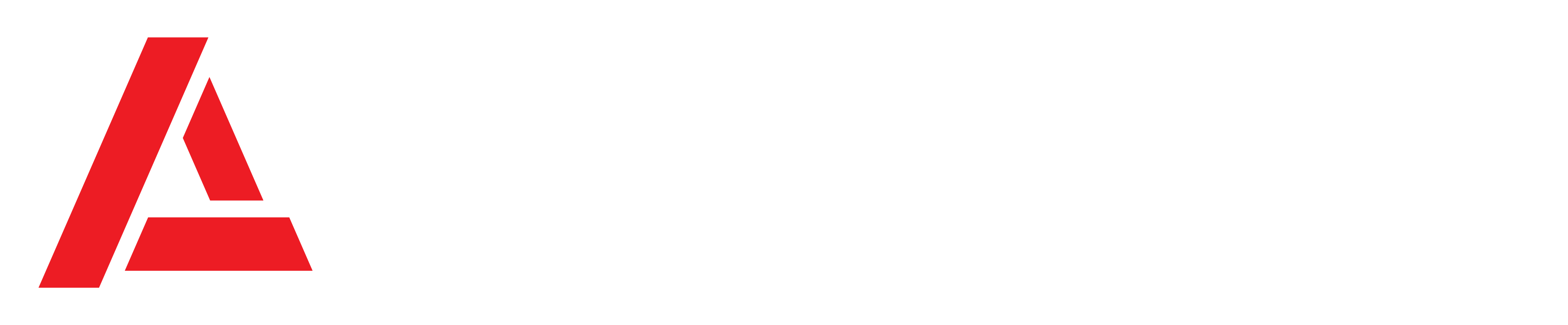 Advertify Professionals Services